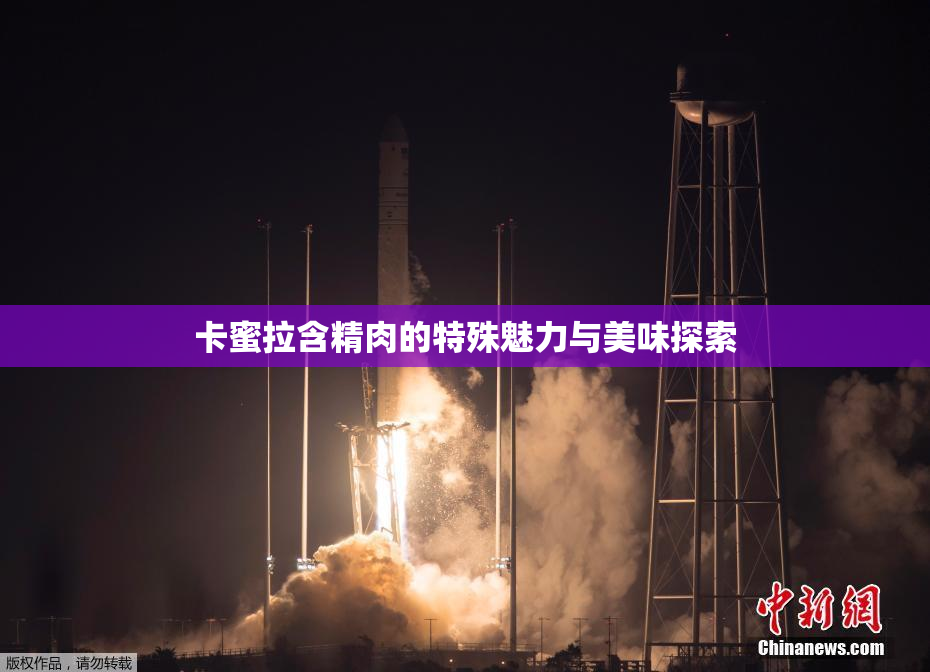 卡蜜拉含精肉的特殊魅力与美味探索