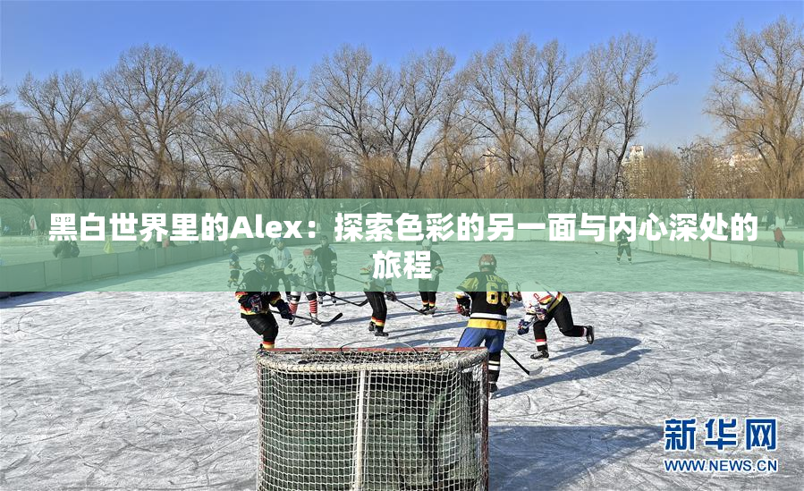 黑白世界里的Alex：探索色彩的另一面与内心深处的旅程