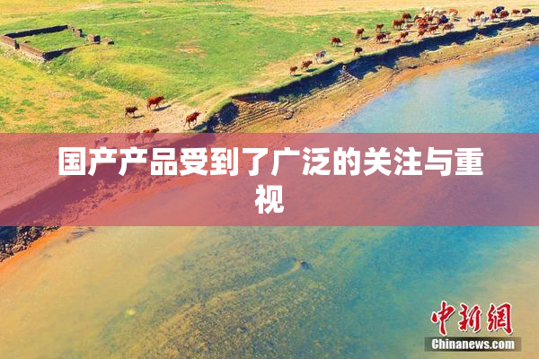 国产产品受到了广泛的关注与重视