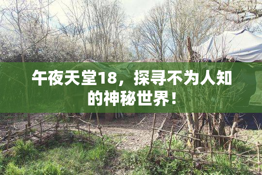 午夜天堂18，探寻不为人知的神秘世界！