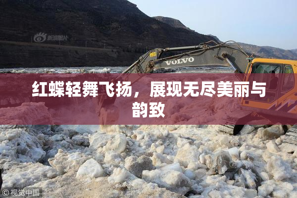 红蝶轻舞飞扬，展现无尽美丽与韵致