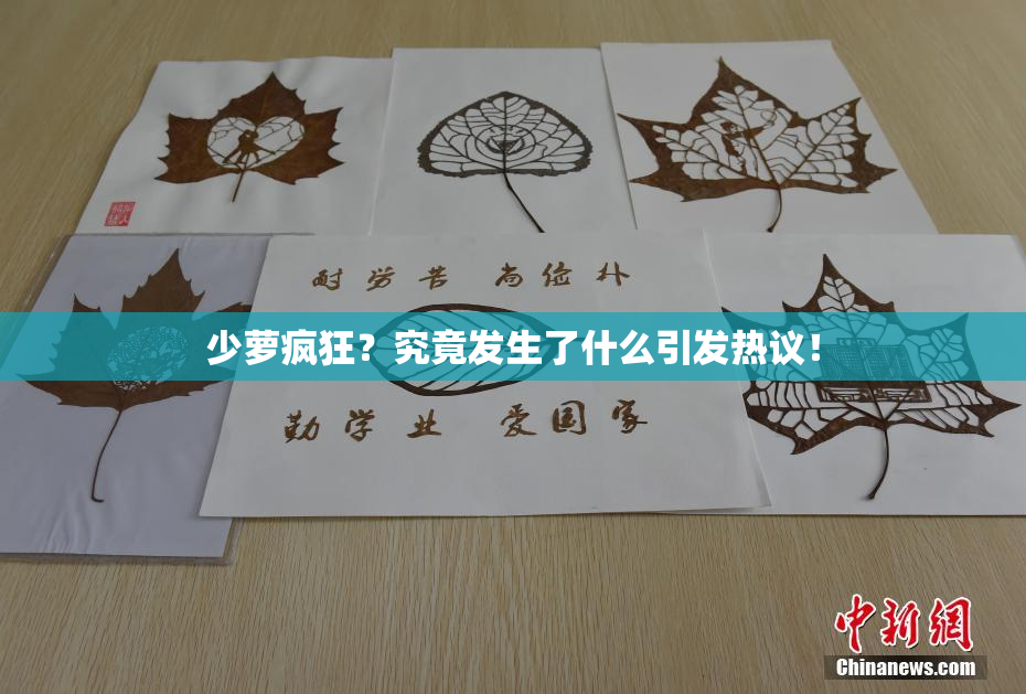 少萝疯狂？究竟发生了什么引发热议！