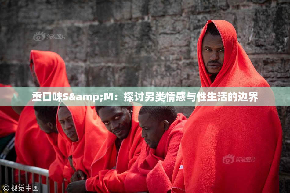 重口味S&M：探讨另类情感与性生活的边界