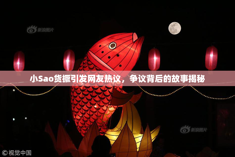 小Sao货撅引发网友热议，争议背后的故事揭秘