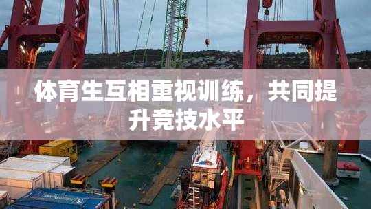 体育生互相重视训练，共同提升竞技水平