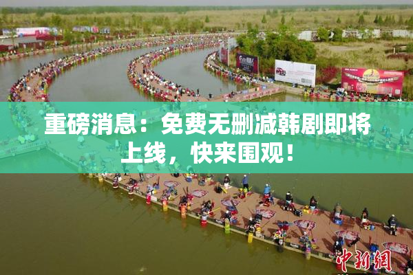 重磅消息：免费无删减韩剧即将上线，快来围观！