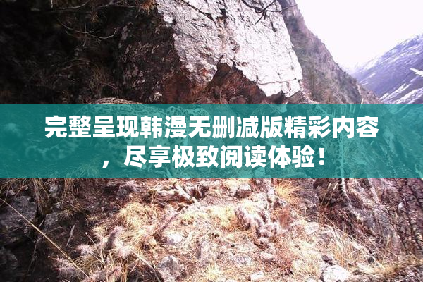 完整呈现韩漫无删减版精彩内容，尽享极致阅读体验！