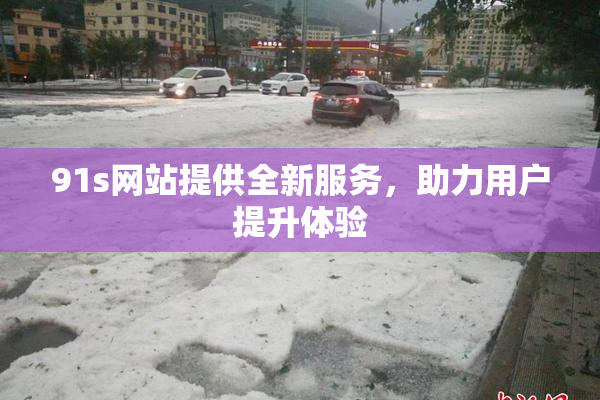 91s网站提供全新服务，助力用户提升体验