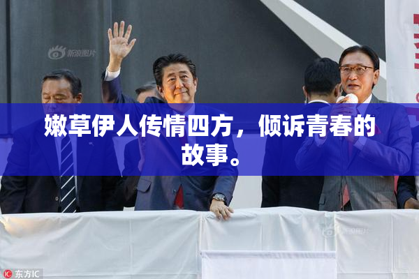 嫩草伊人传情四方，倾诉青春的故事。