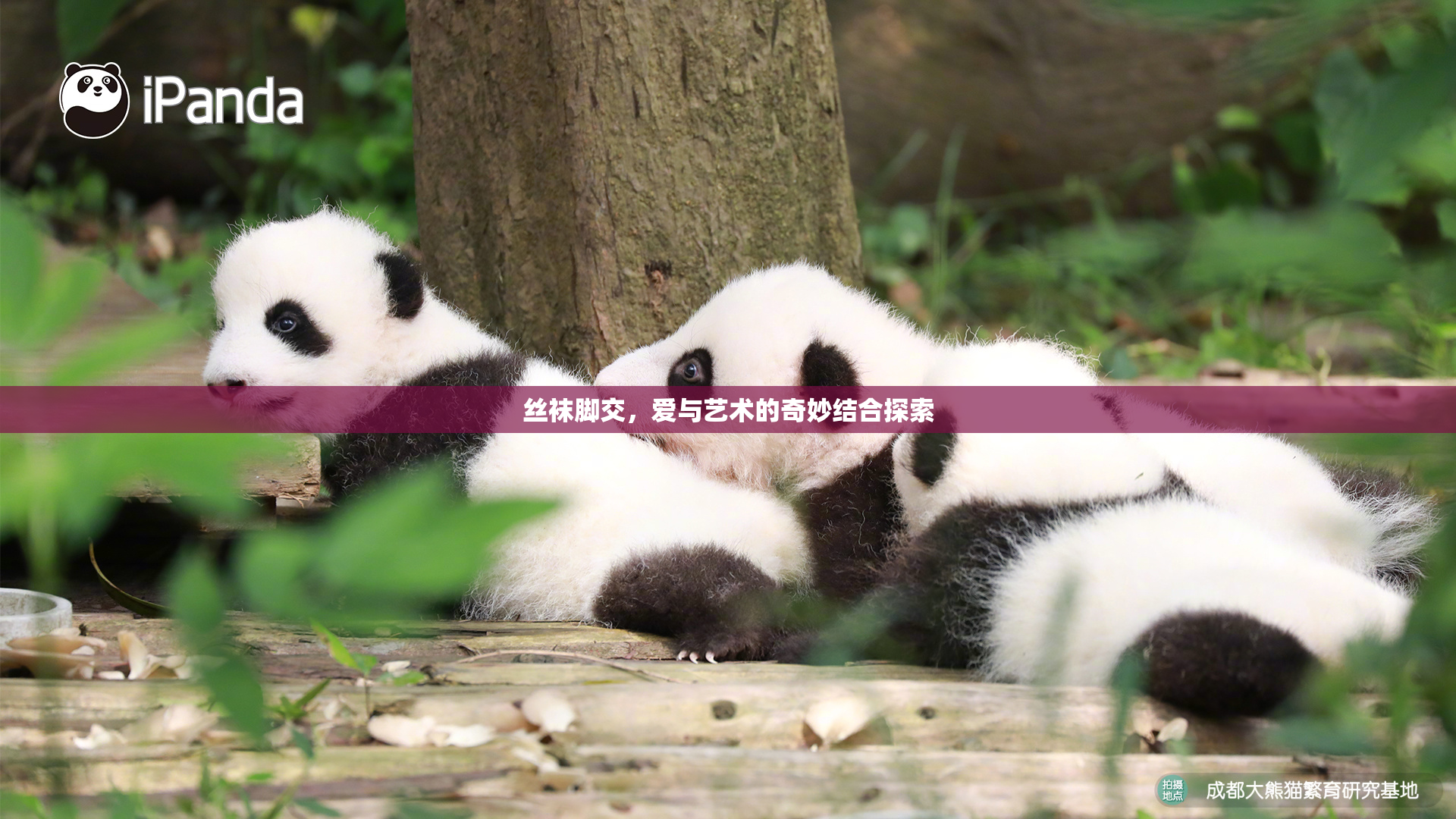 丝袜脚交，爱与艺术的奇妙结合探索