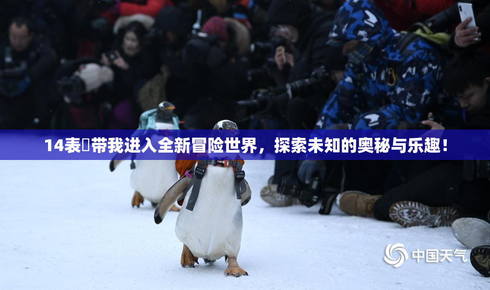 14表妺带我进入全新冒险世界，探索未知的奥秘与乐趣！