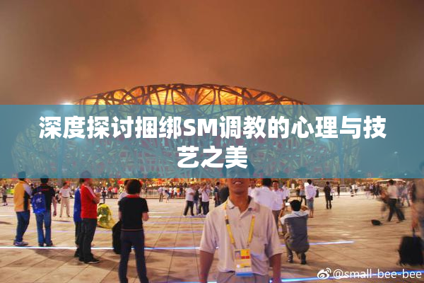 深度探讨捆绑SM调教的心理与技艺之美