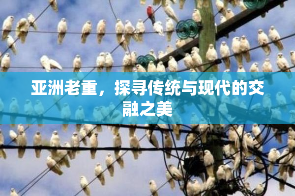 亚洲老重，探寻传统与现代的交融之美