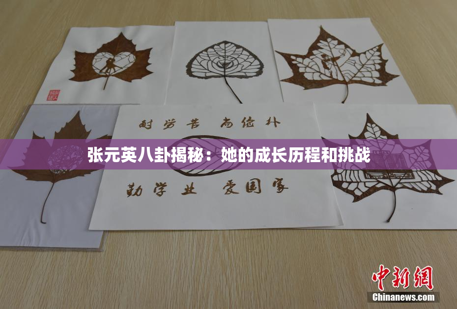 张元英八卦揭秘：她的成长历程和挑战