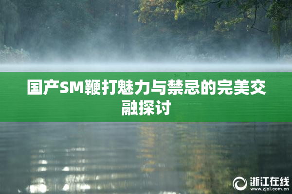 国产SM鞭打魅力与禁忌的完美交融探讨