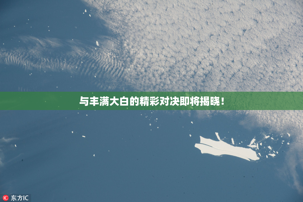 与丰满大白的精彩对决即将揭晓！