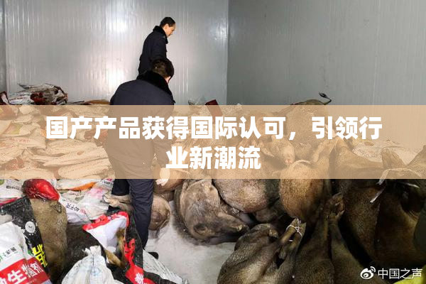 国产产品获得国际认可，引领行业新潮流