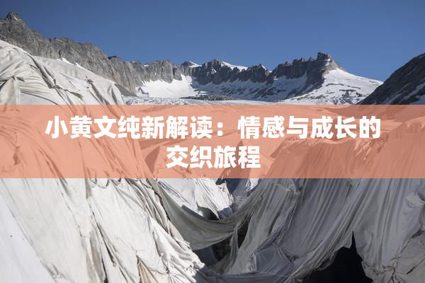 小黄文纯新解读：情感与成长的交织旅程