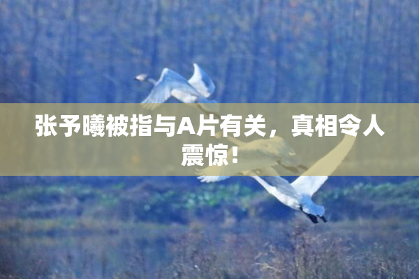 张予曦被指与A片有关，真相令人震惊！