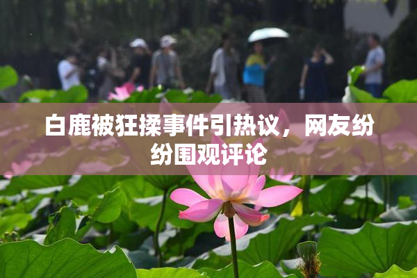 白鹿被狂揉事件引热议，网友纷纷围观评论