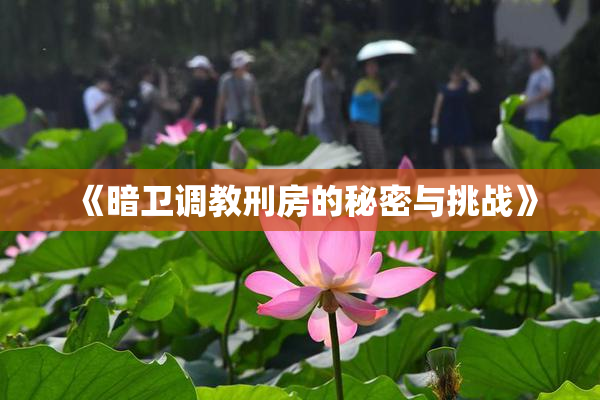 《暗卫调教刑房的秘密与挑战》