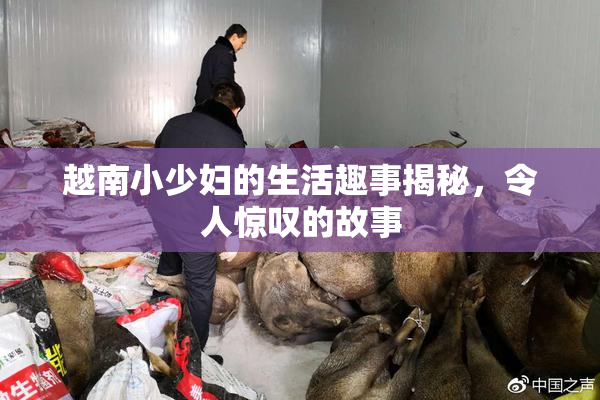 越南小少妇的生活趣事揭秘，令人惊叹的故事