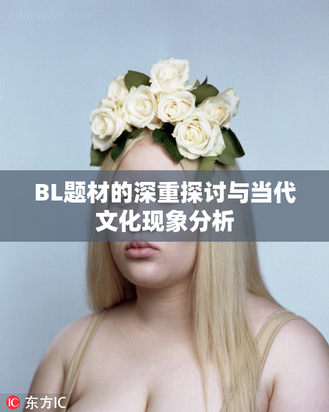 BL题材的深重探讨与当代文化现象分析