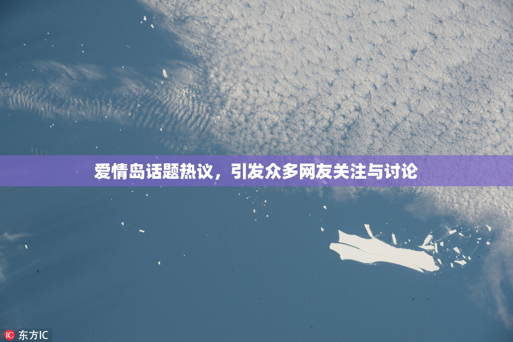 爱情岛话题热议，引发众多网友关注与讨论