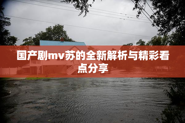 国产剧mv苏的全新解析与精彩看点分享