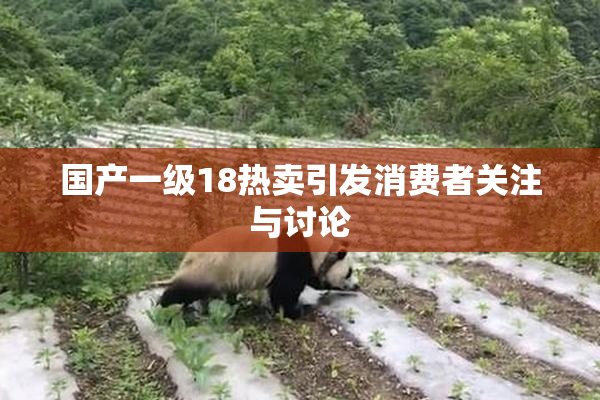 国产一级18热卖引发消费者关注与讨论