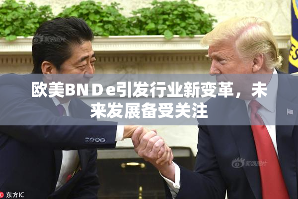 欧美BNＤe引发行业新变革，未来发展备受关注