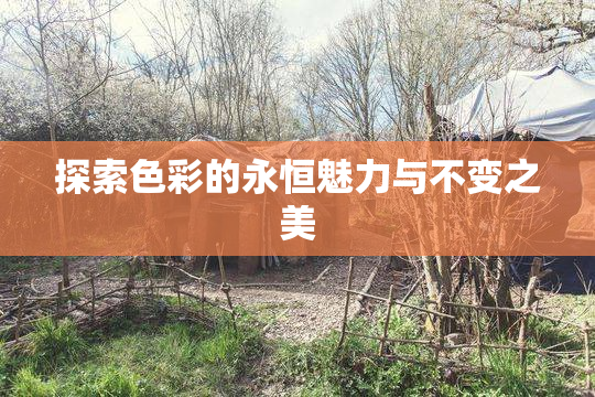 探索色彩的永恒魅力与不变之美