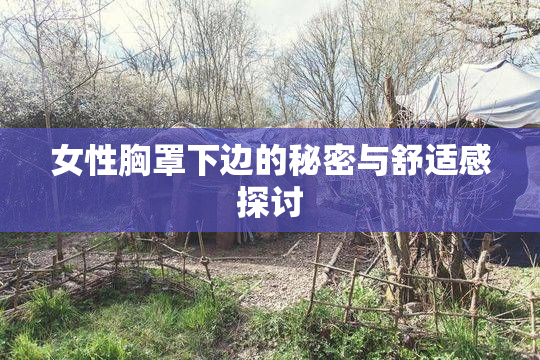 女性胸罩下边的秘密与舒适感探讨