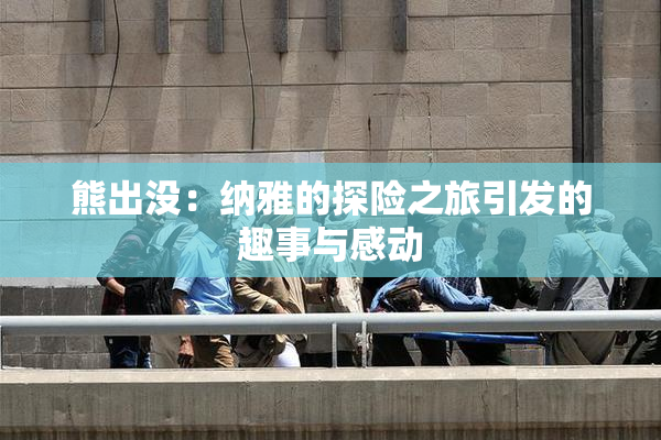 熊出没：纳雅的探险之旅引发的趣事与感动