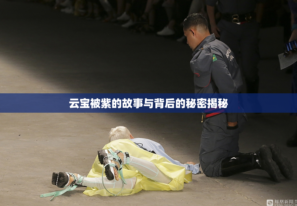 云宝被紫的故事与背后的秘密揭秘