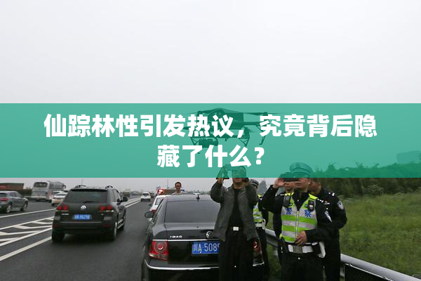 仙踪林性引发热议，究竟背后隐藏了什么？