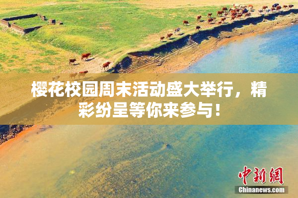 樱花校园周末活动盛大举行，精彩纷呈等你来参与！
