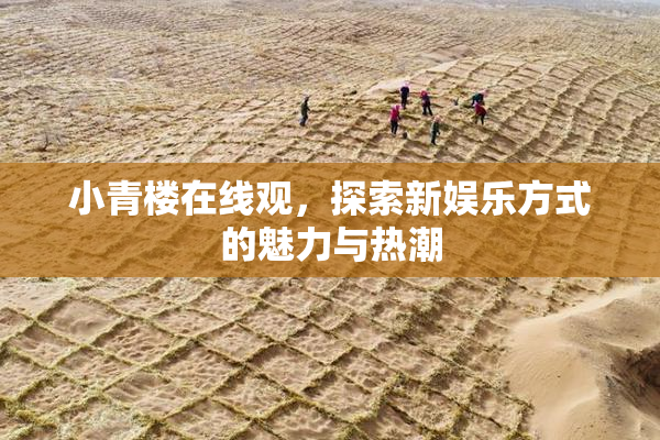 小青楼在线观，探索新娱乐方式的魅力与热潮