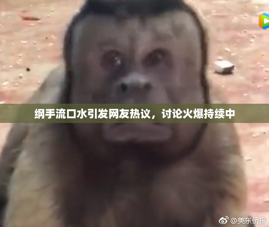 纲手流口水引发网友热议，讨论火爆持续中