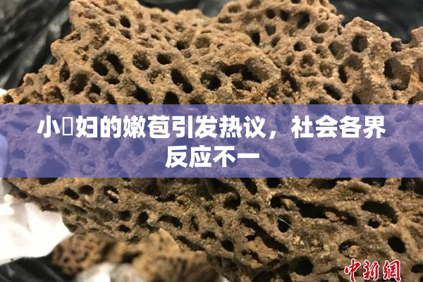 小婬妇的嫩苞引发热议，社会各界反应不一