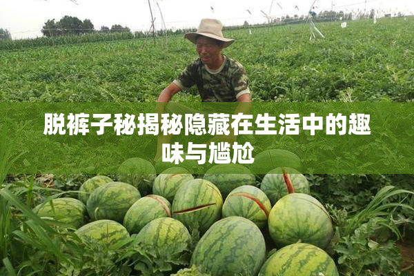 脱裤子秘揭秘隐藏在生活中的趣味与尴尬