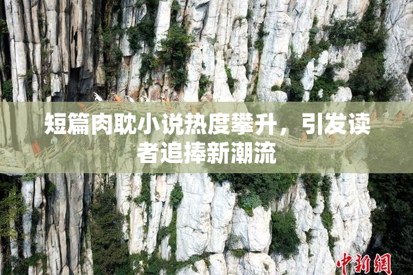 短篇肉耽小说热度攀升，引发读者追捧新潮流