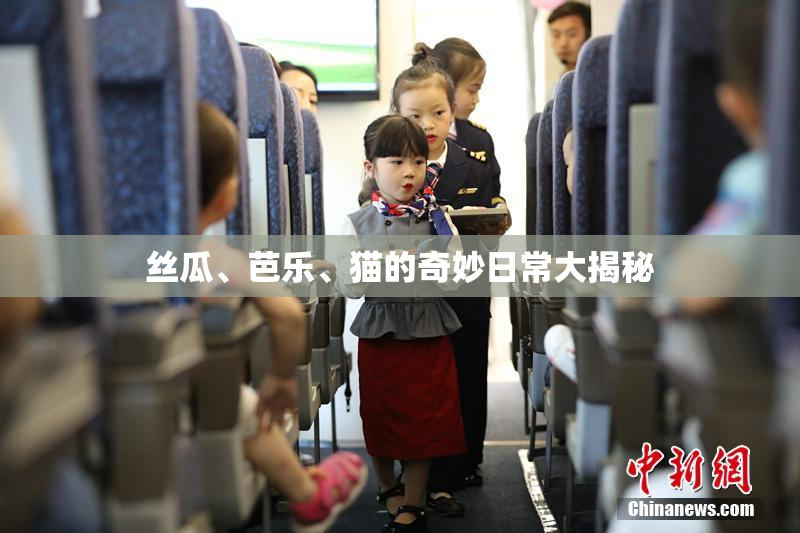 丝瓜、芭乐、猫的奇妙日常大揭秘