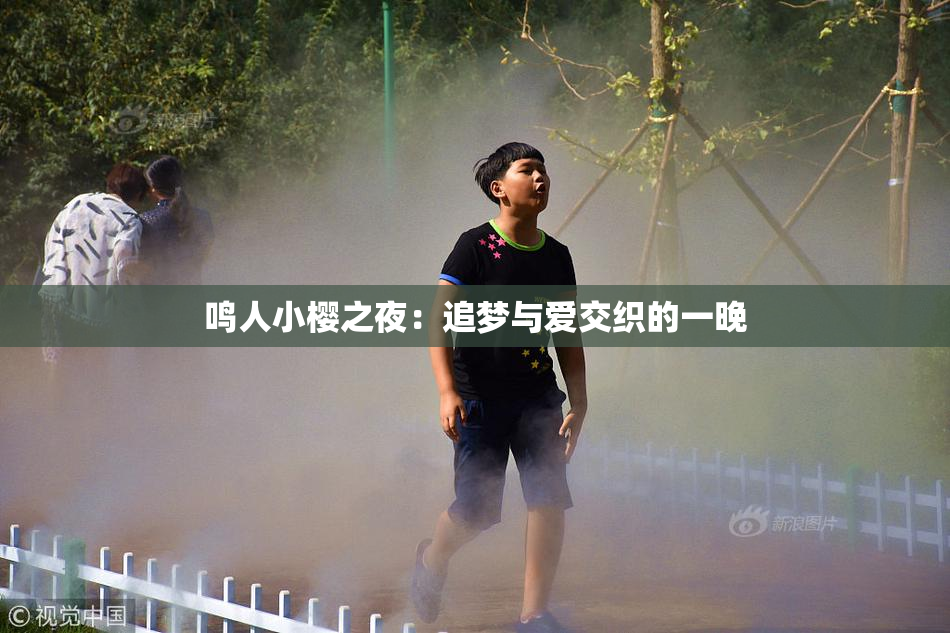 鸣人小樱之夜：追梦与爱交织的一晚
