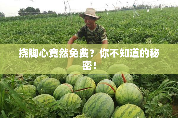 挠脚心竟然免费？你不知道的秘密！