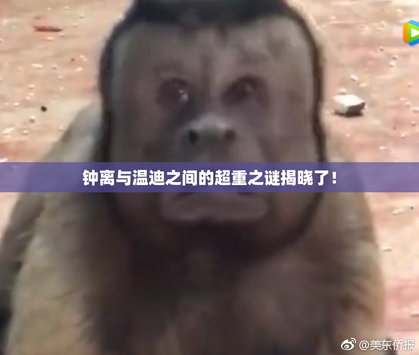钟离与温迪之间的超重之谜揭晓了！