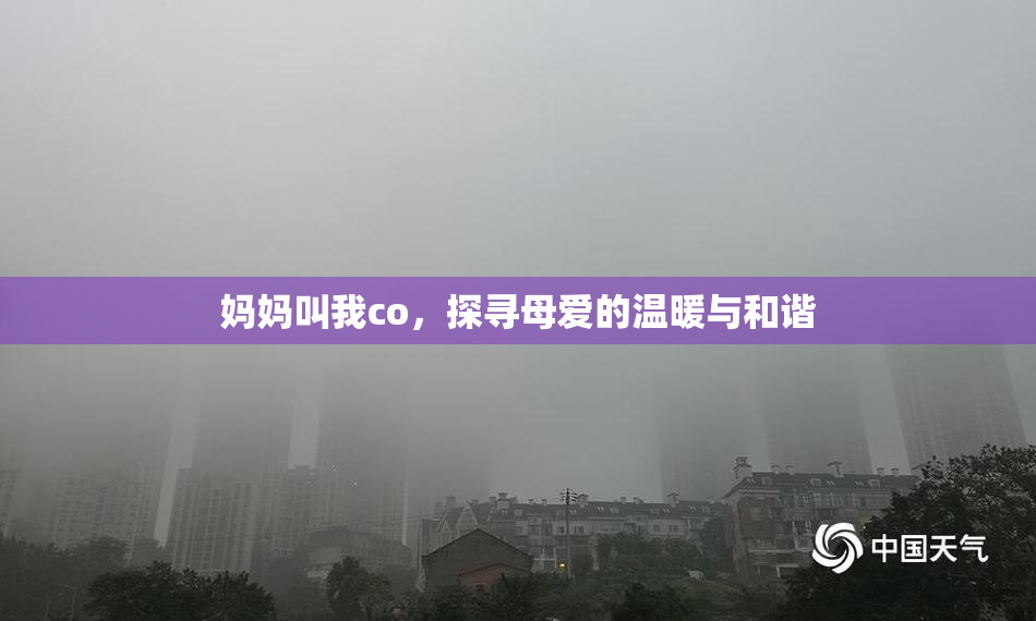 妈妈叫我co，探寻母爱的温暖与和谐