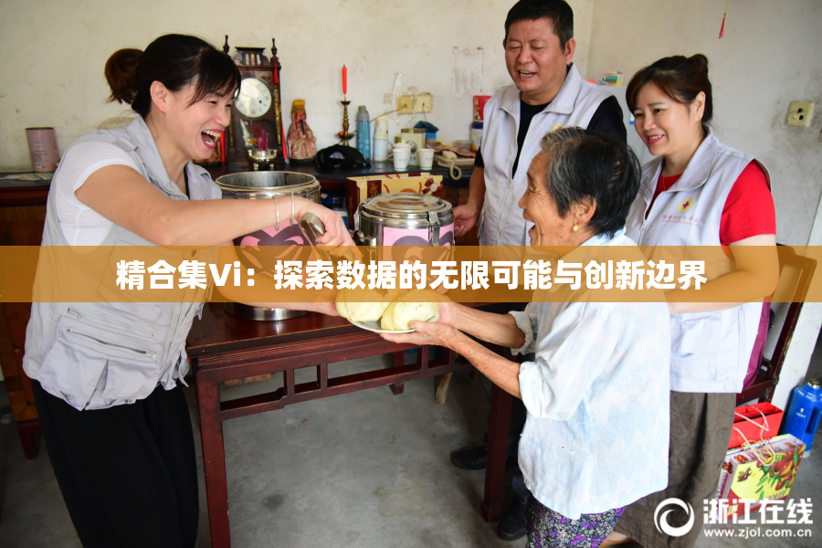 精合集Vi：探索数据的无限可能与创新边界