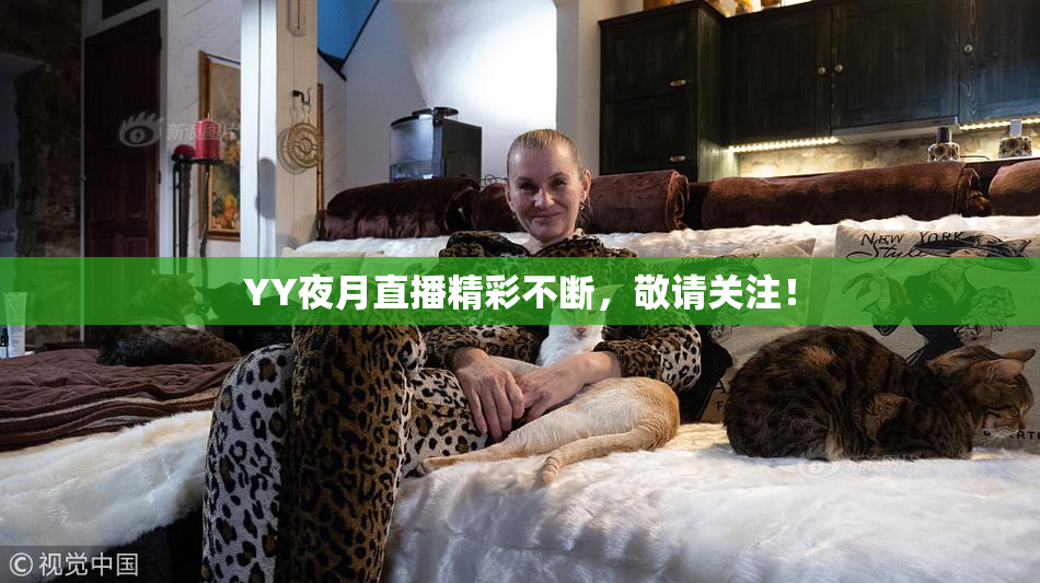 YY夜月直播精彩不断，敬请关注！