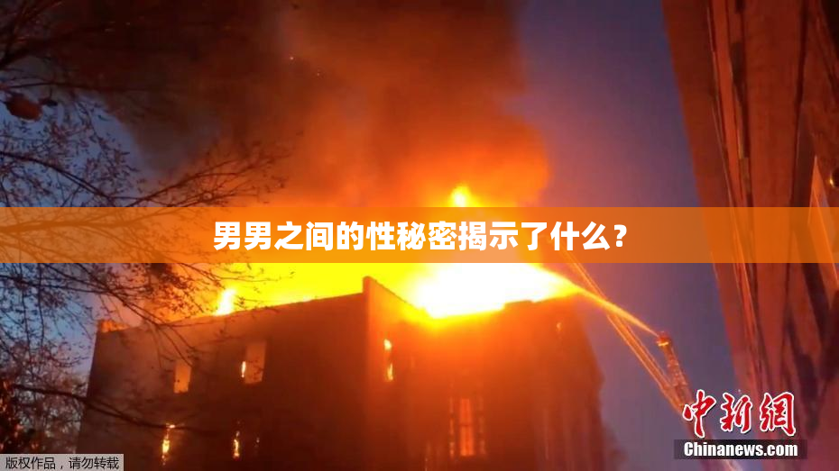 男男之间的性秘密揭示了什么？
